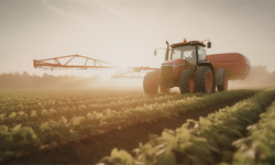 Hesapları Kontrol Edin! Bakanlıktan Dev Destek Yatırıldı