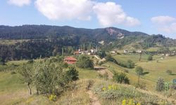 Sürekli Yaşanan Elektrik Kesintileri Köylüleri Çileden Çıkardı