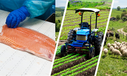 Bakan Yumaklı, “Girişimci Üreticilere 241 Milyon Avro Hibe Desteği Sağlanacak”