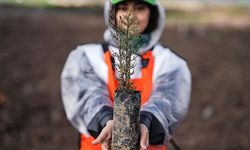 Yeşil Vatan İçin Rekor Hedef Belli Oldu