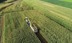Tarım Yatırımlarına 65,5 Milyarlık Destek Geliyor