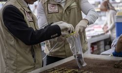 Şubat’ta Yapılan Gıda Denetimlerinde Ceza Yağdı!