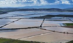 Tarım Sezonunun İlk 5 Ayında Yağışlar Geçen Yıla Göre Arttı