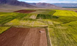 Arsa Yatırımında Yeni Gözde: Çorum! Metrekare Fiyatları Dikkat Çekiyor