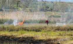 Doğa Katliamı! Sazlıklar Yakıldı, Canlıların Yaşam Alanı Yok Edildi