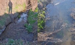 Sevindiren Gelişme! 6 Yıl Sonra Yeniden Akmaya Başladı