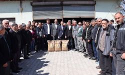 Alaca’da 244 Çiftçiye Ayçiçeği Tohumu Desteği