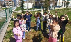 Minik Yüreklerden Doğaya Anlamlı Dokunuş