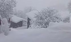 O Köyde Kar 50 santimetreyi Aştı!