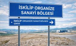 Başkan Çizikçi Tane Tane Anlatmış