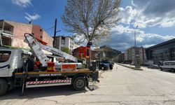 Park ve Bahçeler Ekiplerinden Yoğun Çalışma