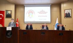 Çorum’da Sahipsiz Hayvanlar İçin Yeni Dönem