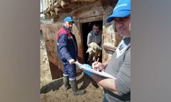 Zorlu Araziye Rağmen Hayvan Varlığı Kayıt Altına Alındı