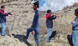 Bayat’ta Bitkilerde Verimi Artırmak İçin Budama Kontrolleri Yapıldı