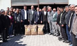 Alaca’da Çiftçilere Hibe Destekli Ayçiçeği Tohumu Dağıtıldı