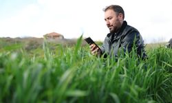 Çorum’da Yapay Zekâlı Tarım Devrimi! Çiftçi Fotoğraf Çekiyor, Sorun Anında Çözülüyor