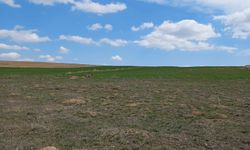 Mera Arazisi Sürüldü Ceza Bile Yazılmadı