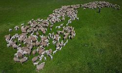 Kendi İşinin Hayalini Kuranlar Dikkat! Başvurular Başladı