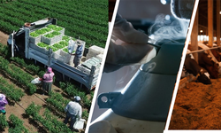 Hesaplara Tam 17 Milyar TL Yatırıldı!