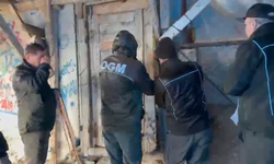 Çorum’da Ahır Mühürlendi 300 Hayvan Kaderine Terk Edildi