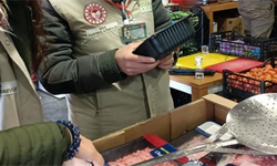 113 Bin İşletmeye Yapılan Gıda Denetimlerinde Rekor Ceza!