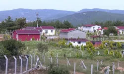 Cumhurbaşkanı Erdoğan Talimatı Verdi! Hobi Bahçelerinde Yeni Dönem