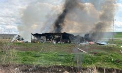 Alevler Her Şeyi Sardı! 150 Metrekarelik Ağıl Küle Döndü