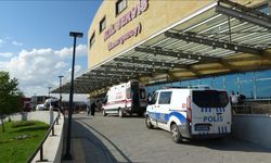 Doğadan Toplanan Mantar Hastanelik Etti