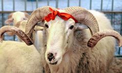 Vekalet Yoluyla Kurban Kesim Bedelleri Belirlendi