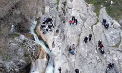 İlkbaharda Büyülüyor: Doğa Tutkunlarının Gözdesi