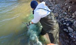 Obruk Barajı’nda Kaçak Avcılığa Darbe! Metrelerce Ağ Yakalandı