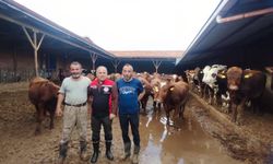 Makamı Bıraktı, Sahadan Gelmiyor!