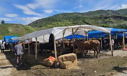 Bayat’ta Hayvan Pazarı Açıldı