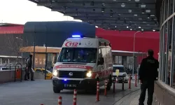 Çorum’da Mantar Faciası! Hamile Kadın ve Bebeği Hayatını Kaybetti