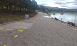Çorum Barajı Taşma Noktasına Geldi, Ekipler Önlem Aldı