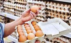 Yumurtada Üretim Rekoru, Fiyatlarda Sert Düşüş!