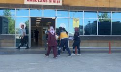 Çorum’da Kurban Telaşı Hastanede Bitti