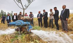 Termal Kaynak İncelemesi: Vali Çalgan Çalışmaları Yerinde Gördü