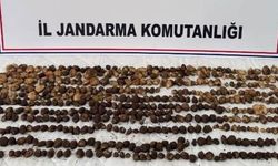 Sakın Dokunmayın! Doğada Bulup Topladılar, 2 Milyon TL Ceza Yediler