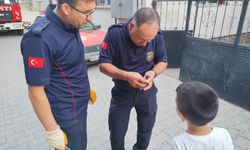 Çatıda Sıkışan Kırlangıç İtfaiye Ekiplerince Kurtarıldı