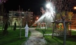 Çorum Belediyesi Vektörel Mücadeleyi Aralıksız Sürdürüyor