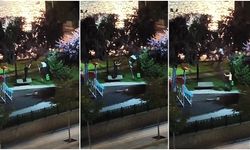Şehir Magandaları İş Başında!