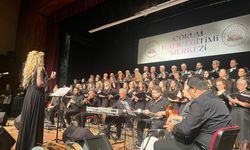 Kulakların Pasını Sildiler, Büyük Beğeni Topladılar