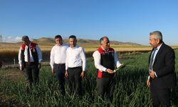 Mecitözü'nde Tarımsal Üretim Yerinde İncelendi