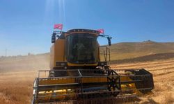 Kaymakam Direksiyona Geçti, Hasat Yaptı