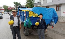 Meşhur 10 Dilim Kavunu Yüzde 150 Zamlandı