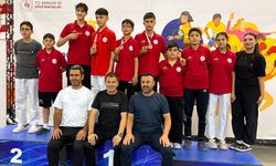 Yıldızlar Taekwondo Takımı Türkiye Finallerinde