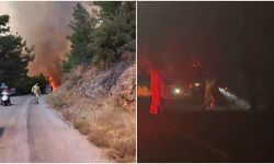 Çorum'un Orman Kahramanları Fethiye'de Görev Başında
