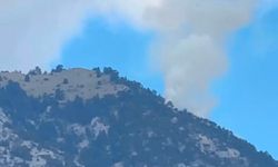 Çorum’da Orman Yangını Çıktı, Ekipler Bölgede