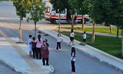 Lağım Fareleri Çorum’da İki Kişiye Saldırdı